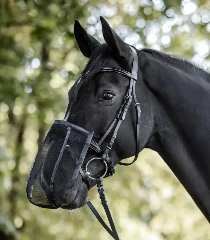 Waldhausen Fliegen-Nasenschutz, mit UV-Schutz schwarz, Pony Top-Preis