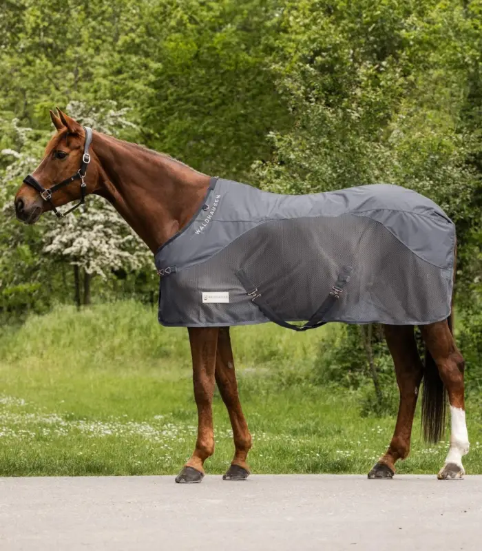 Günstig Waldhausen Comfort Regen-Fliegendecke grau, XL (155cm)