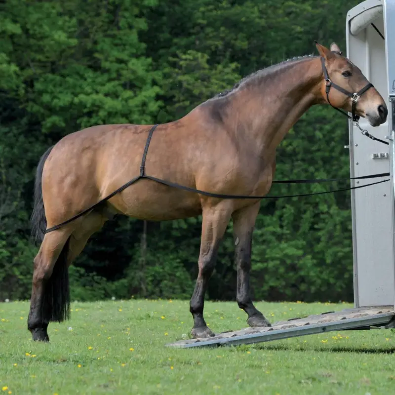 Expressversand Waldhausen Verladehilfe schwarz