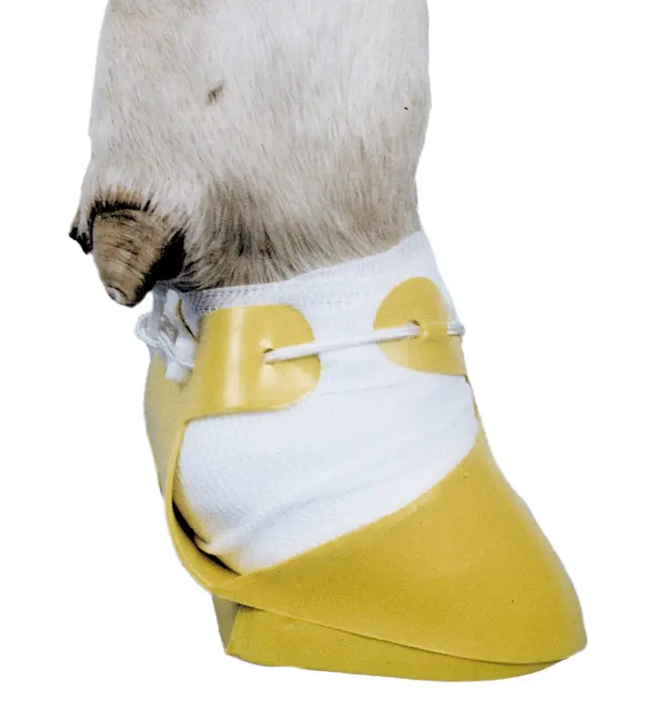 Preiswert Shoof Klauenschuh - versch. Größen gelb | medium | für Jungtiere | rechts unterlegt