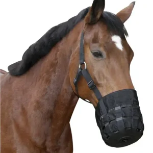 Neue Kollektion Fressbremse - Maulkorb für Weide Pony