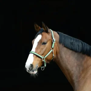 Halfter Raya schwarz/grau/lime, Pony Super-Preis