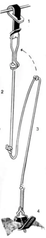 Kerbl Kuhschwanzhalter "Standard" Kracherpreis