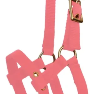 Ekkia Ponyfohlenhalfter rosa Neu