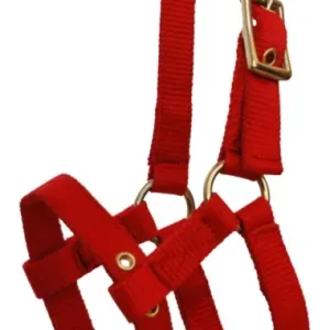 Ekkia Ponyfohlenhalfter rot Neue Kollektion