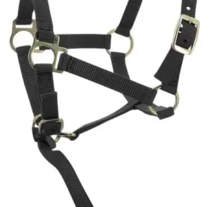 Sonderangebot Norton Fohlenhalfter + Strick schwarz