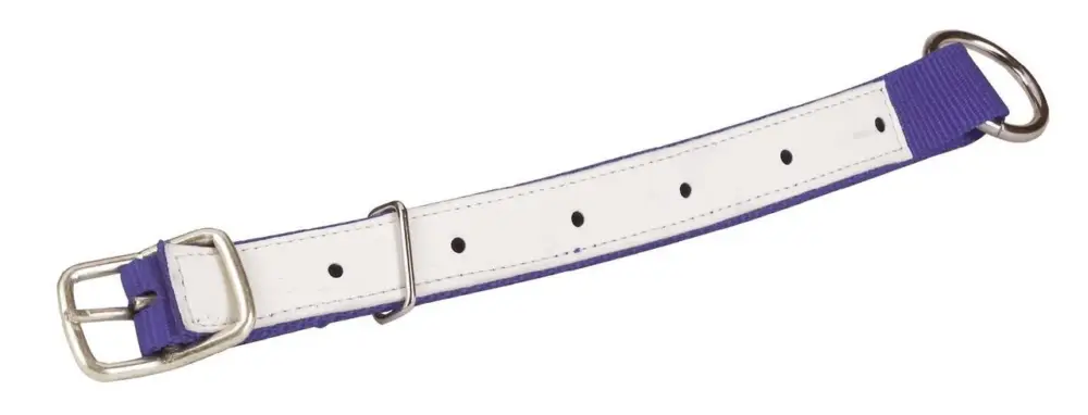 Angebot HALSRIEMEN für Schafe, 60cm blau