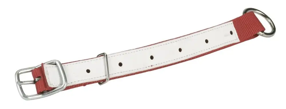 Highlight HALSRIEMEN für Schafe, 60cm rot