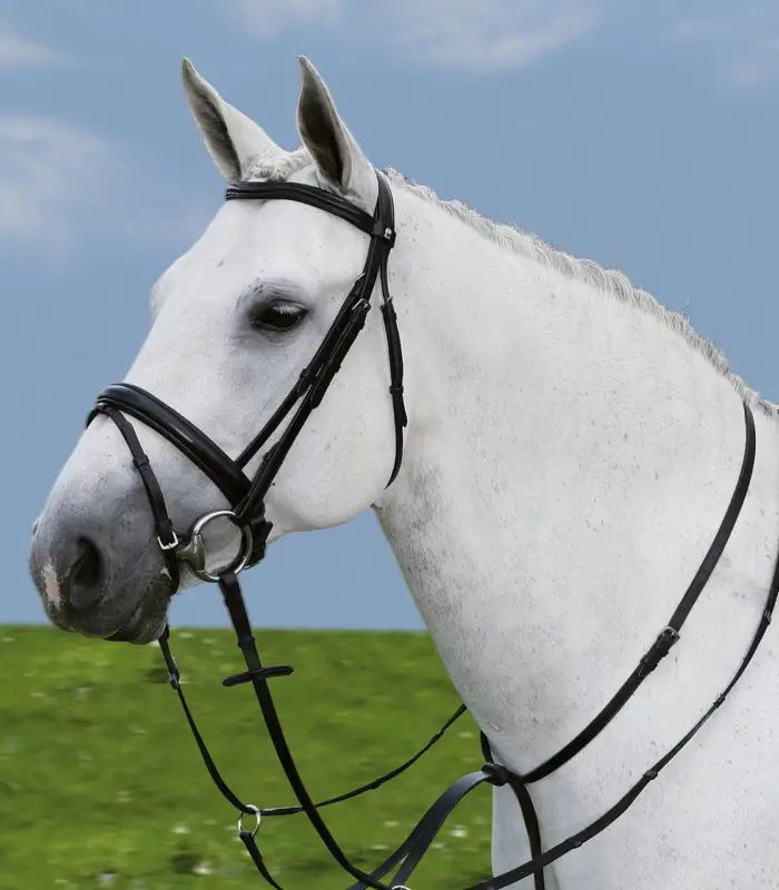 Martingal aus Leder schwarz, Full = Warmblut Top-Seller