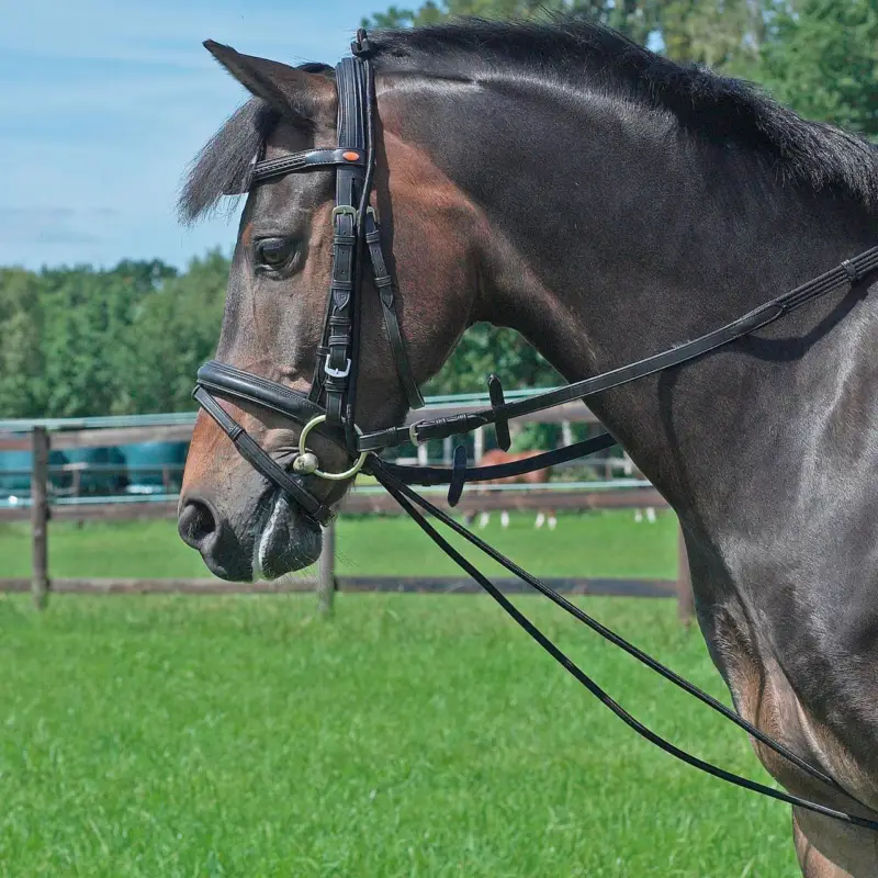 Busse Halsverlängerer aus Gummi schwarz, Pony Angebot