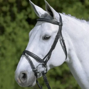 Waldhausen STAR Trensenzaum Diamond weiß, Full = Warmblut Heißes Angebot