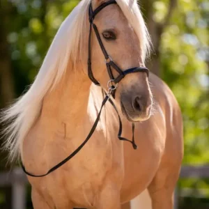 Versand Am Gleichen Tag F.R.A. Gebissloser Zaum pardoes schwarz, X-Full Warmblut extra / Kaltblut