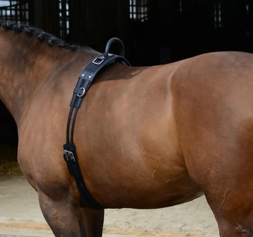 Longiergurt mit Handgriff Full = Warmblut Sonderaktion
