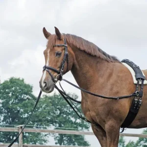 Dreieckszügel - Wienerzügel verstellbar schwarz, Pony Begrenztes Angebot