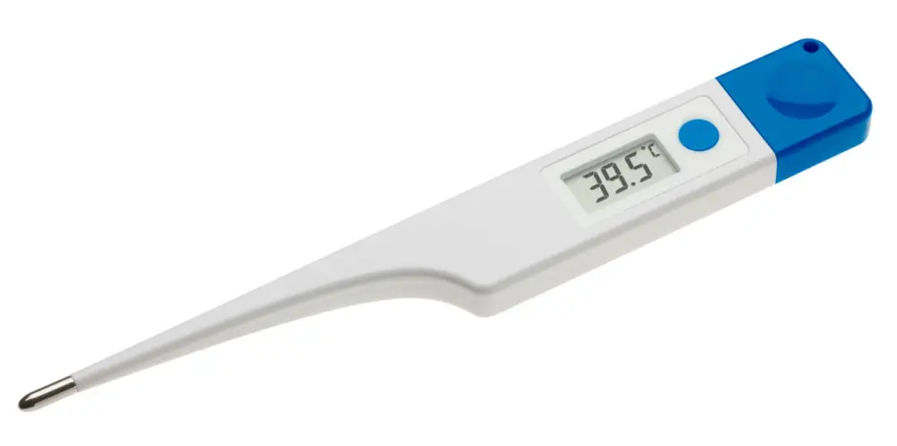 Fieberthermometer digital, extra groß Neue Ware