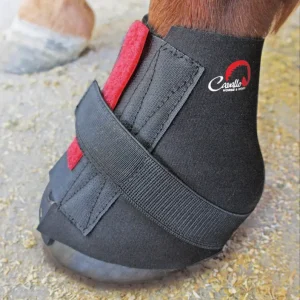 Begrenztes Angebot Cavallo Pastern Wrap Bandage Neopren schwarz, L