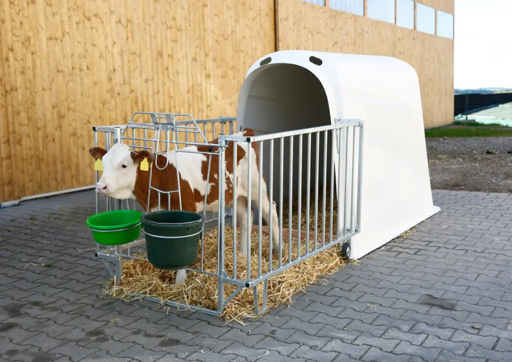 Kerbl Kälberiglu Calfhouse PREMIUM PLUS leicht Jetzt Bestellen