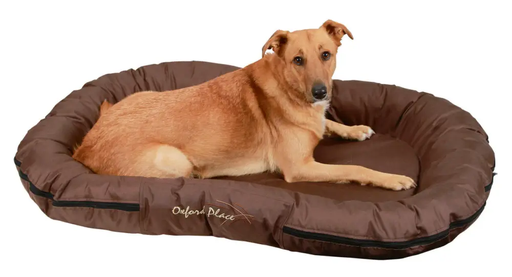Bestseller Kerbl Liegekissen Oxford Place braun, 120 x 85 cm