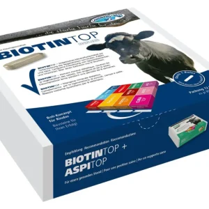 Landmans Best BIOTINTOP Bolus - 12 Boli à 80 g Sofort Bestellen