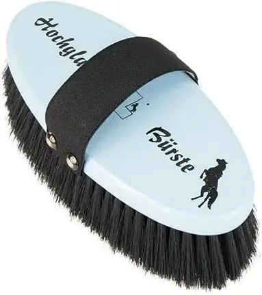 Leistner Hochglanzbürste 180x80mm - 42mm Borsten hellblau Günstig
