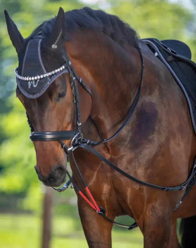 Must-Have Waldhausen W-trainRein Dreiecks-Zügel schwarz, Pony