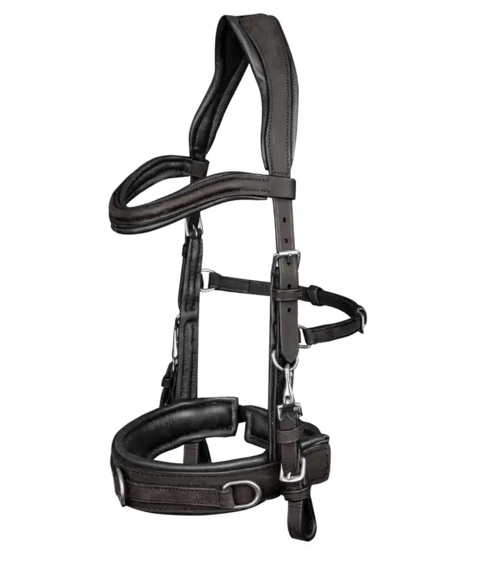 Direktkauf Waldhausen Lederkappzaum ANATOMIC schwarz, WB