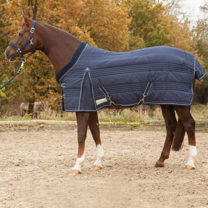 Sichere Zahlung Waldhausen Stalldecke Comfort Line, 100 g nachtblau, 125 cm