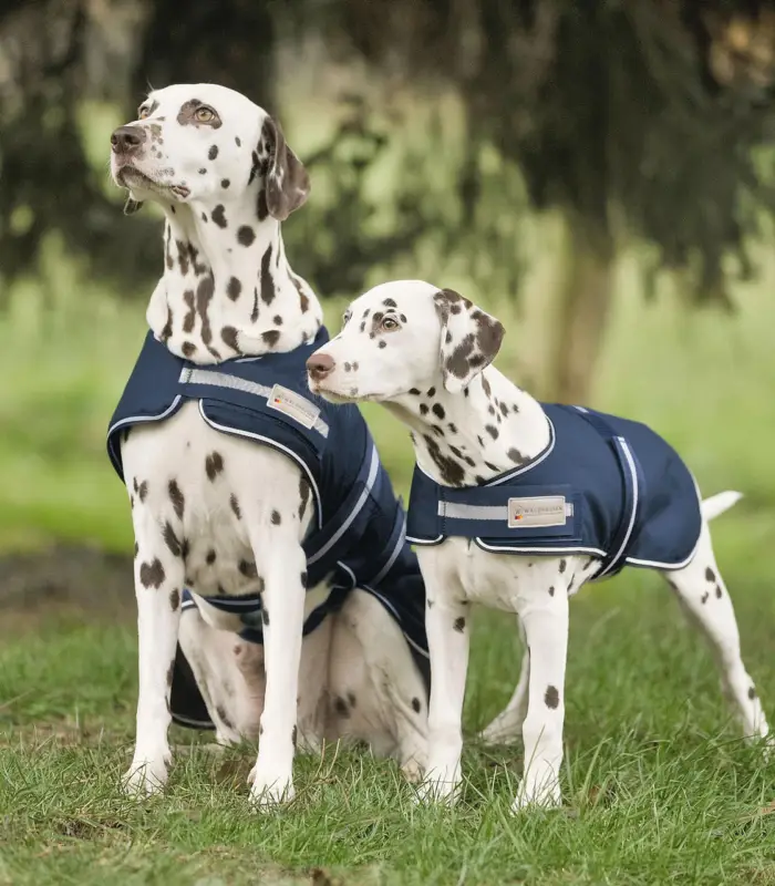 Waldhausen Regendecke für Hunde marine, 65 cm Top-Angebot