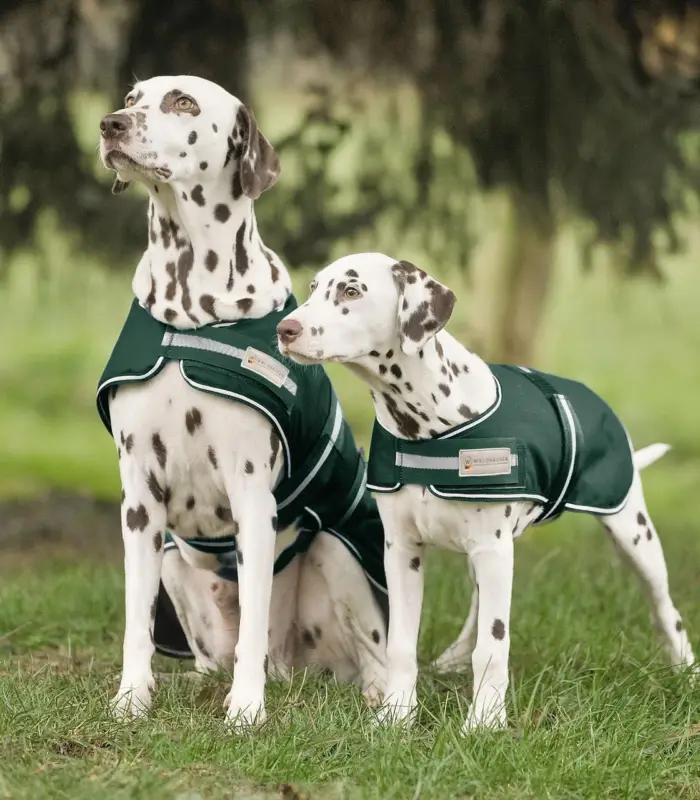 Waldhausen Regendecke für Hunde tannengrün, 70 cm Nur Heute
