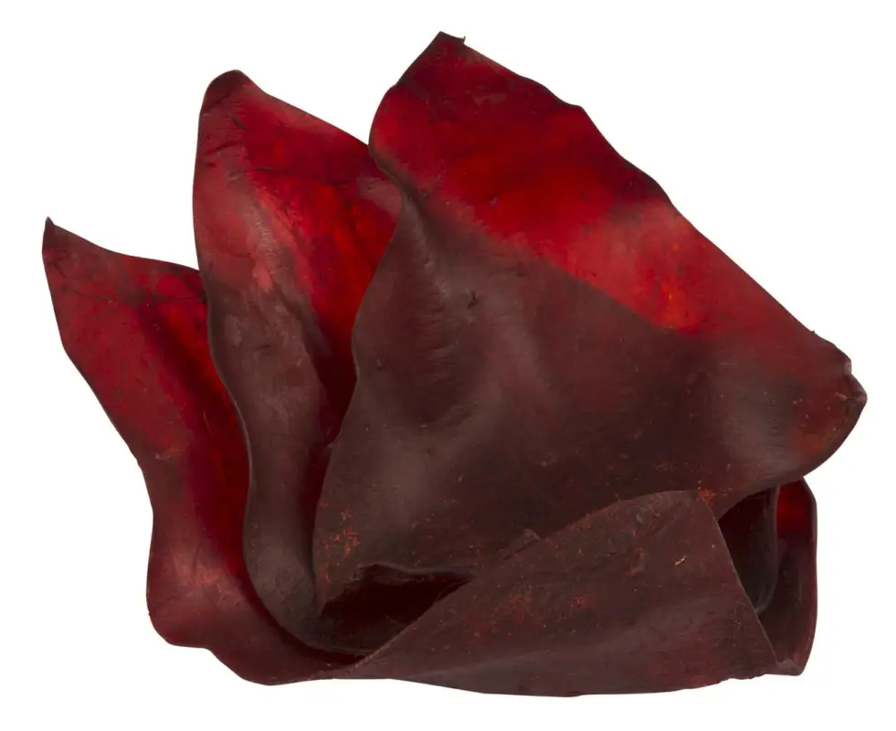 Kerbl Rinderohren, gefärbt, 10er-Beutel, 180 g Begrenztes Angebot