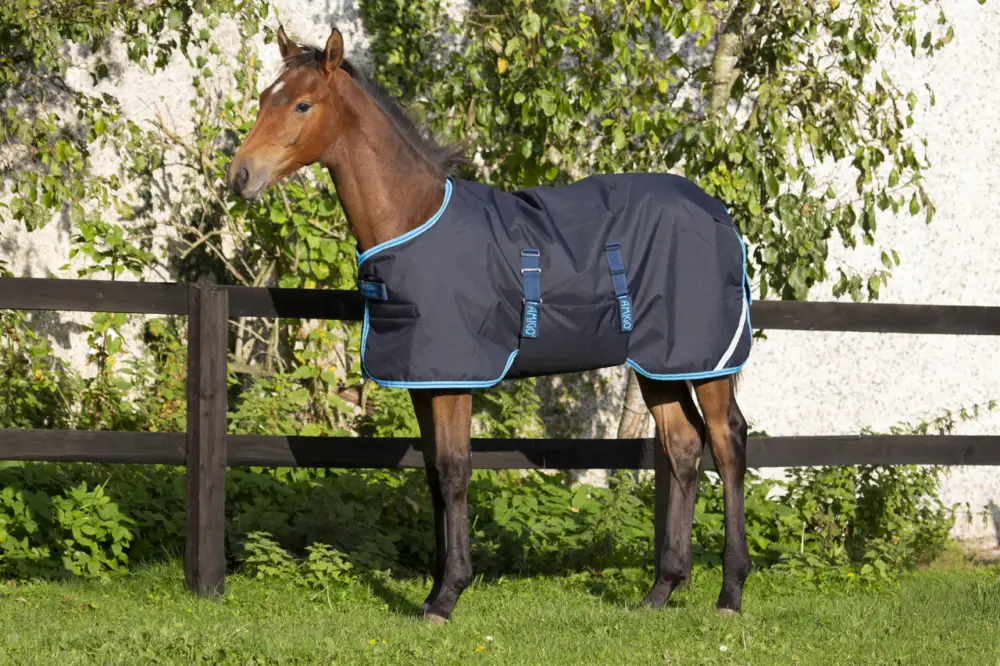 Mega-Angebot Horseware Amigo Foal Rug Ripstop 50 g navy/elec blue & navy, 122-137 (100)
