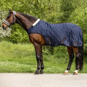 Waldhausen Führmaschinendecke Exclusive 50g nachtblau, 135 cm Nur Für Kurze Zeit