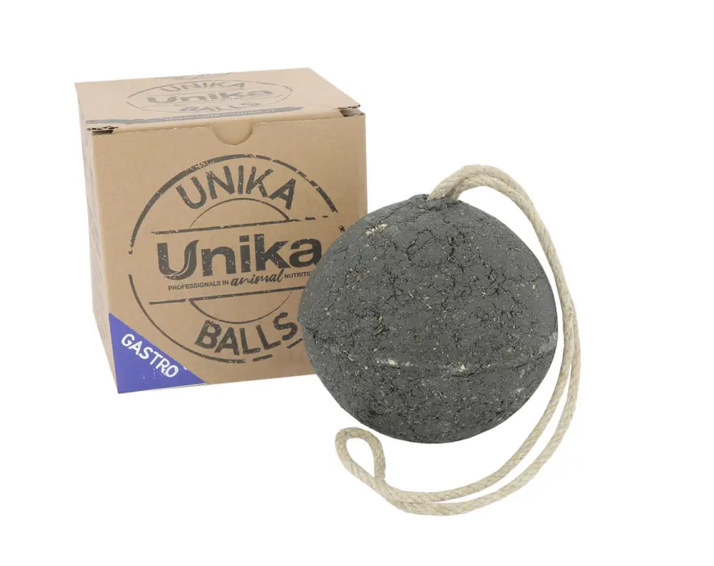 Finale Aktion Unika Balls Gastro