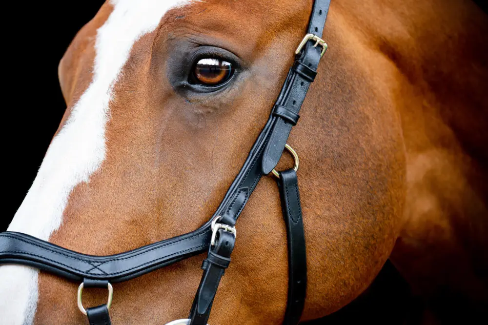 Horseware Micklem 2 Competition Bridle black, X-Full Abverkauf