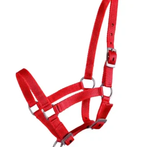 Q-Essentials Fohlenhalfter rot, Warmblutfohlen Ausverkauf