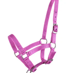 Mega-Angebot Q-Essentials Fohlenhalfter rosa, Shettyfohlen
