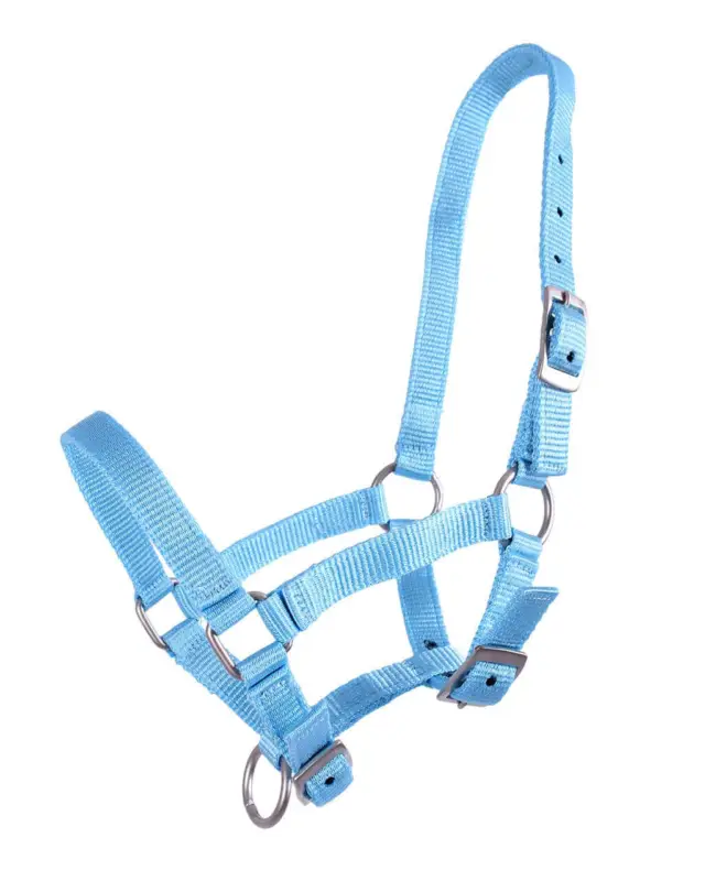 Q-Essentials Fohlenhalfter baby blau, Falabellafohlen Top-Preis