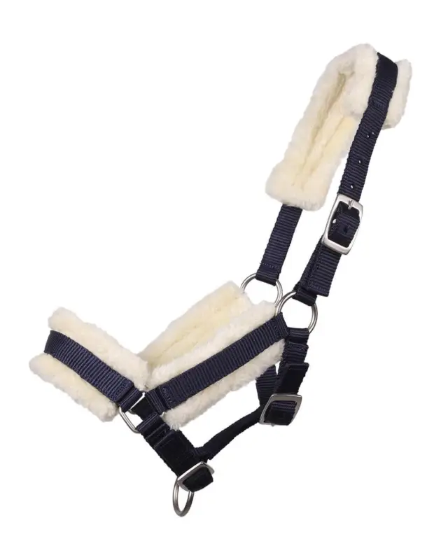 Q-Essentials Fohlenhalfter mit Pelz dunkelblau, Falabellafohlen Knallerangebot