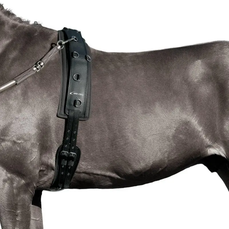LAMI-CELL Anatomischer Longiergurt Full Top-Preis