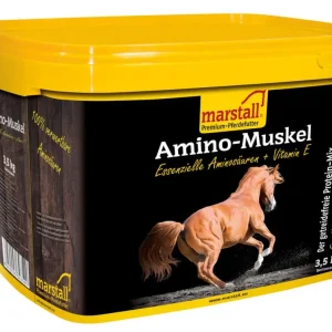 marstall Amino-Muskel 3,5 kg Meistverkauft