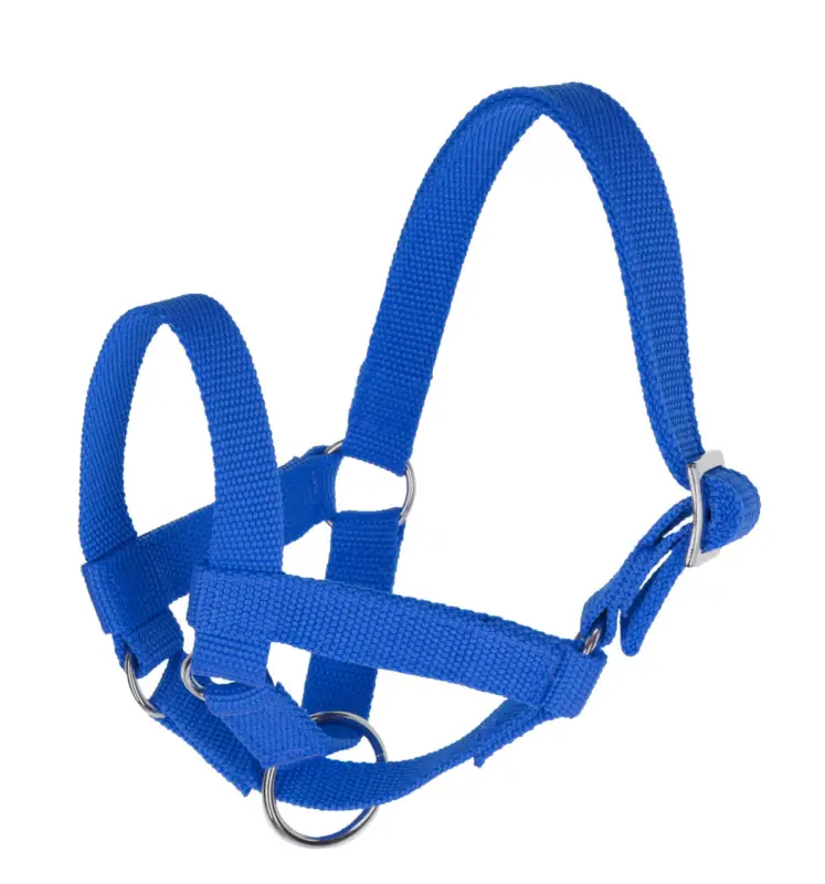 Heißes Angebot Kerbl Lama-Halfter blau, 50