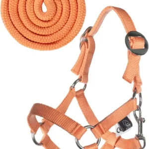 HKM Halfter und Strick -Hobby Horsing Basic- orange Sale