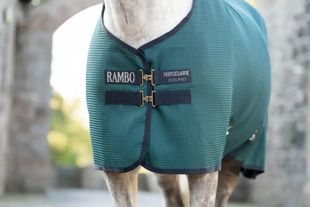 Horseware Rambo Techni Waffle Cooler dynasty green/navy & silver, 130 cm Sale