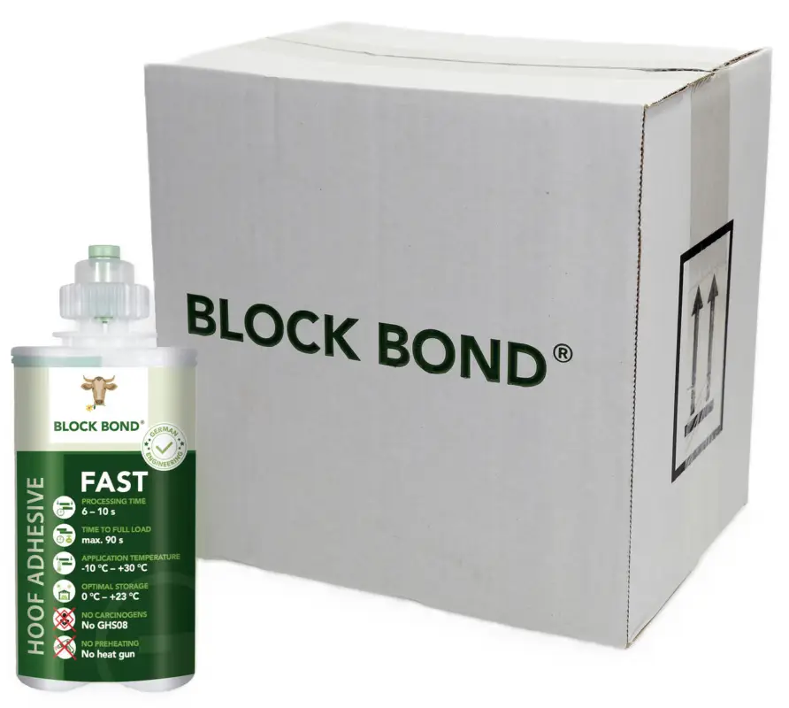 BLOCK BOND Urethan-Kleber FAST 10x 200ml Sale