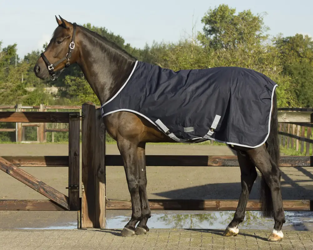 Preis Gesenkt QHP Führmaschinendecke 0g blau, 145 cm