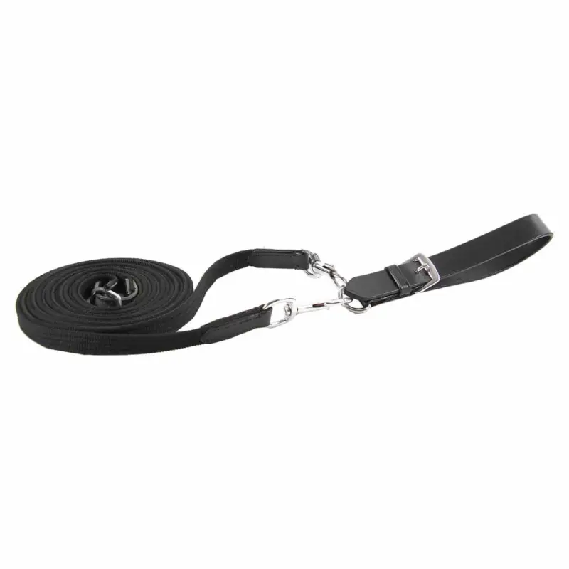 Kracherpreis STAR Gurtband- Schlaufzügel, mit Karabiner