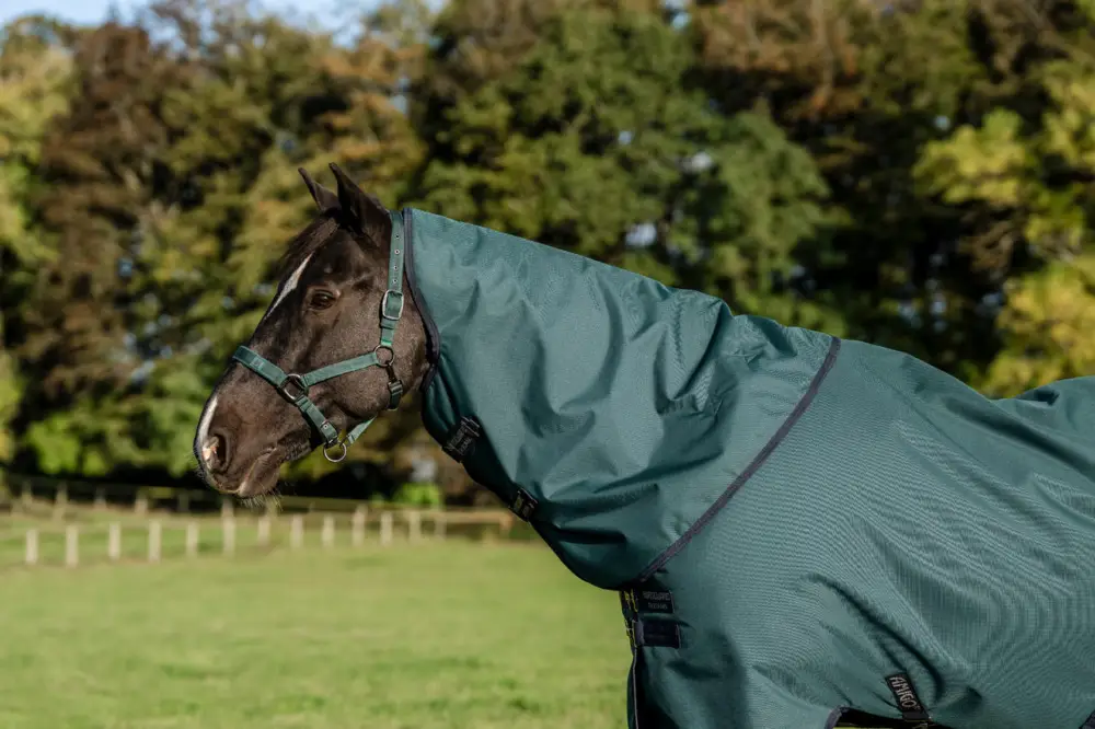 Horseware Amigo Ripstop 900D Turnout Hood 0g dynasty green/navy & silver, L Beliebt