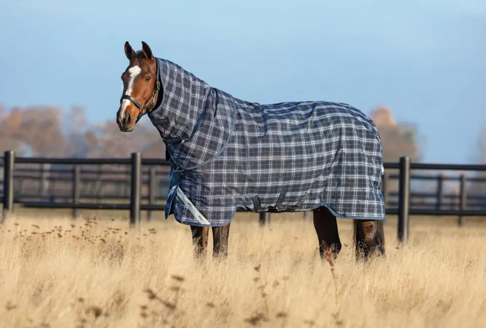 Super-Preis Horseware Rhino Plus Turnout 0g navy check/indigo, 130 cm