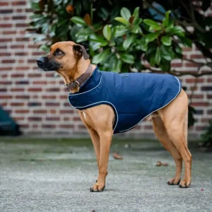 Top-Angebot Horseware Signature Dog Rain Coat 100g navy, S