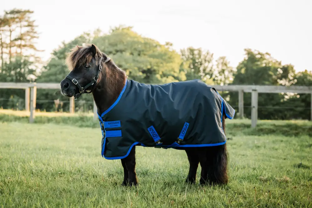 Horseware Amigo Ripstop 900D Petite Turnout 0g black/classic blue, 80 cm Zertifiziert